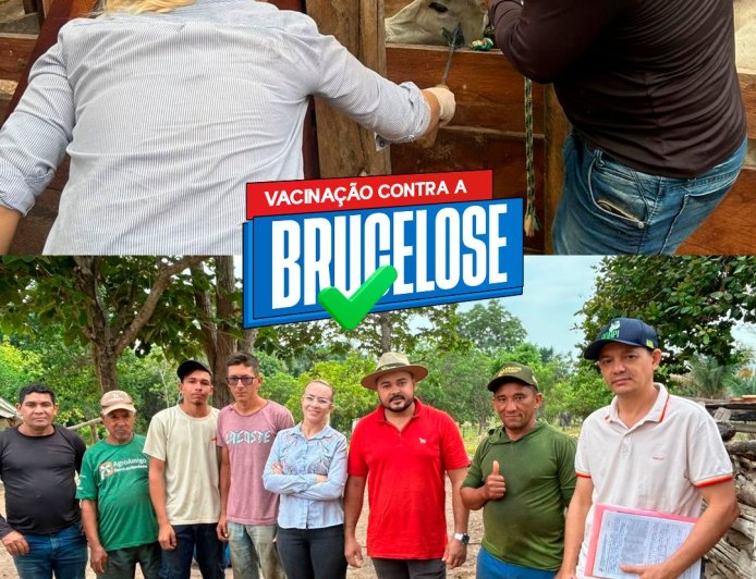 Vacinação Contra a Brucelose