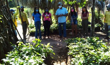 Projeto Queimadas: Secretaria de Meio Ambiente promove visitas ao viveiro