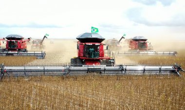 Baixa Grande do Ribeiro é o maior produtor de grãos do Piauí e o 25º do ranking nacional