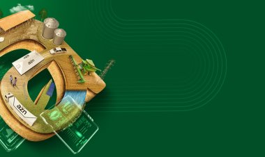 2º Dia de Campo - Fazenda AZN e 2º Encontro Técnico de produção agrícola em Baixa Grande do Ribeio/PI