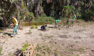 Comemoração do 16º aniversário do instituto Chico Mendes de conservação da biodiversidade ICMbio
