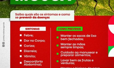 Prefeitura de Baixa Grande do Ribeiro, emite Alerta a população da Virose da Mosca