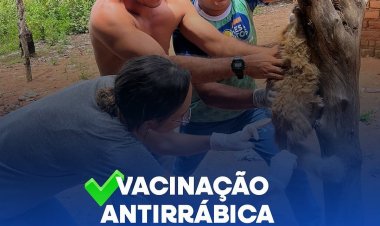Campanha de Vacinação Antirrábica
