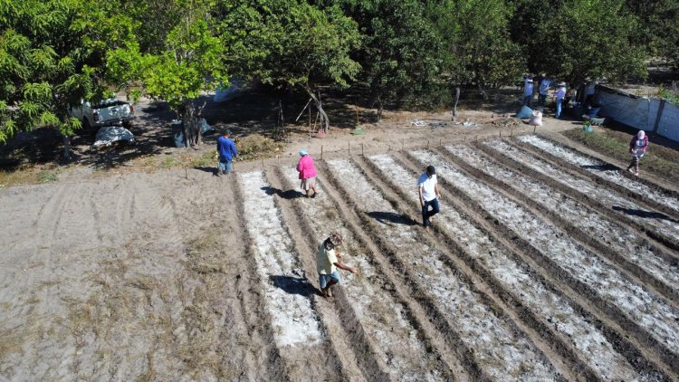 Secretaria de Agricultura e SENAR promovem Curso de Horticultura na comunidade Pau Louro