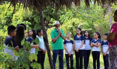 Dia da Árvore é celebrado com atividades de educação ambiental
