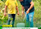 SECRETARIA MUNICIPAL DE AGRICULTURA PROMOVE AÇÃO DE LEVANTAMENTO DE SOLO EM COMUNIDADES RURAIS DO MUNICÍPIO