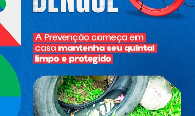 ATENÇÃO !! CUIDADOS COM  A DENGUE, FIQUE ALERTA.