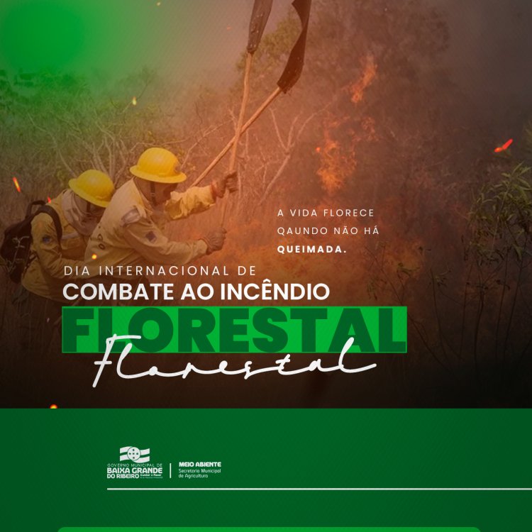 Dia Internacional de Combate ao Incêndio Florestal