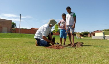 Secretaria promove arborização da Praça Milton Santos no povoado Almécegas.