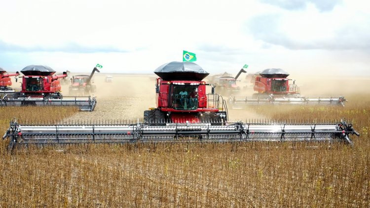 Baixa Grande do Ribeiro é o maior produtor de grãos do Piauí e o 25º do ranking nacional