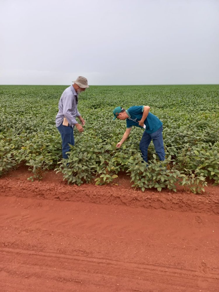 2º Dia de Campo - Fazenda AZN e 2º Encontro Técnico de produção agrícola em Baixa Grande do Ribeio/PI