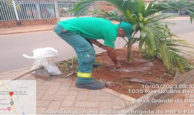 22 DE ABRIL DIA MUNDIAL DO PLANETA TERRA