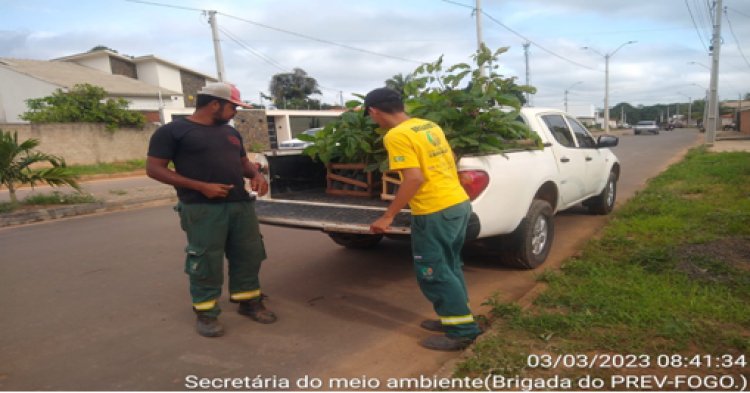 22 DE ABRIL DIA MUNDIAL DO PLANETA TERRA