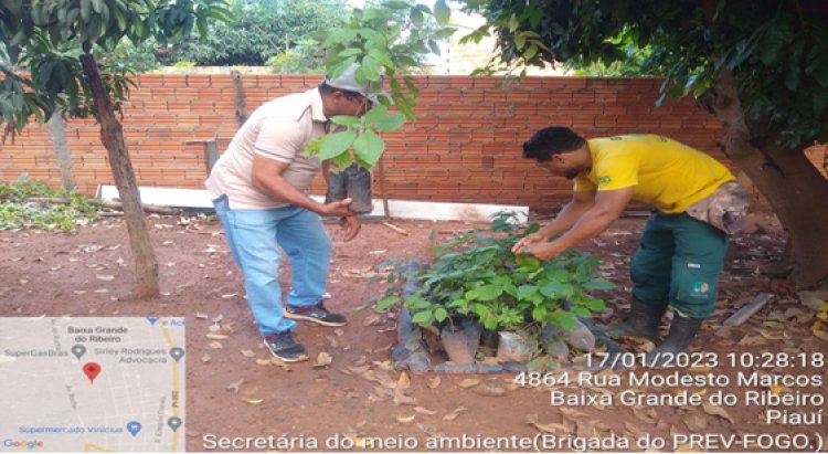 22 DE ABRIL DIA MUNDIAL DO PLANETA TERRA