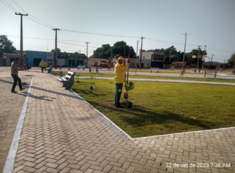 19 de novembro, aniversário de criação do Ministério do Meio Ambiente