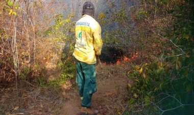 22 de Fevereiro dia Da Criação do IBAMA