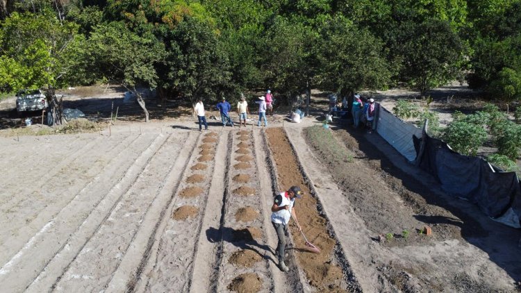Secretaria de Agricultura e SENAR promovem Curso de Horticultura na comunidade Pau Louro