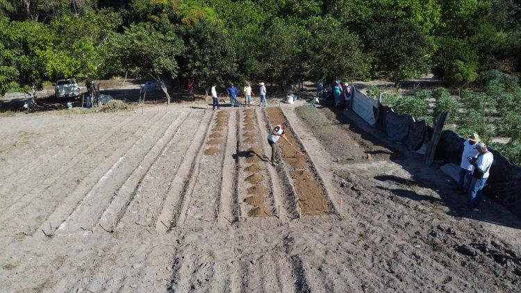 Secretaria de Agricultura e SENAR promovem Curso de Horticultura na comunidade Pau Louro