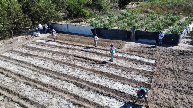 Secretaria de Agricultura e SENAR promovem Curso de Horticultura na comunidade Pau Louro