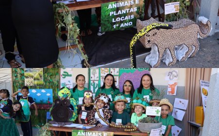 CONFERÊNCIA INFANTOJUVENIL E FEIRA DE CIÊNCIAS PROMOVEM EDUCAÇÃO AMBIENTAL NA ESCOLA PROFª ELZA BORGES