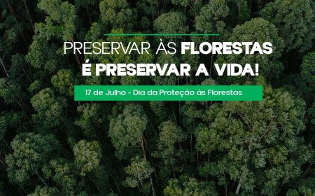 PRESERVAR AS FLORESTAS É PRESERVAR A VIDA!