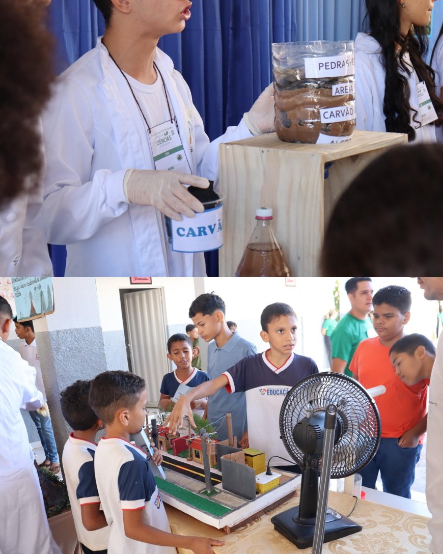 CONFERÊNCIA INFANTOJUVENIL E FEIRA DE CIÊNCIAS PROMOVEM EDUCAÇÃO AMBIENTAL NA ESCOLA PROFª ELZA BORGES