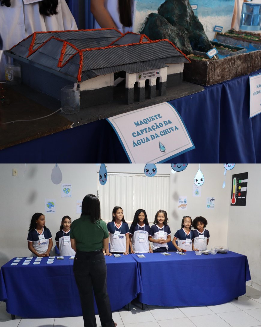 CONFERÊNCIA INFANTOJUVENIL E FEIRA DE CIÊNCIAS PROMOVEM EDUCAÇÃO AMBIENTAL NA ESCOLA PROFª ELZA BORGES