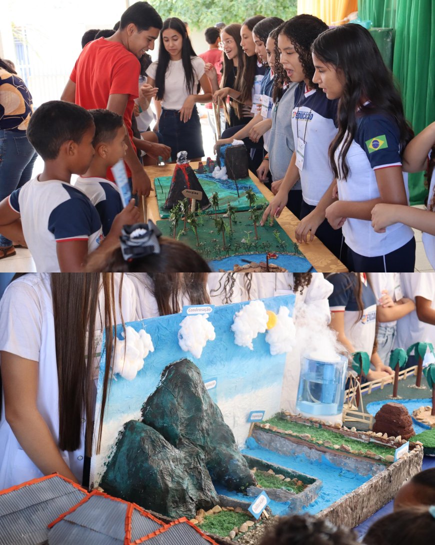 CONFERÊNCIA INFANTOJUVENIL E FEIRA DE CIÊNCIAS PROMOVEM EDUCAÇÃO AMBIENTAL NA ESCOLA PROFª ELZA BORGES