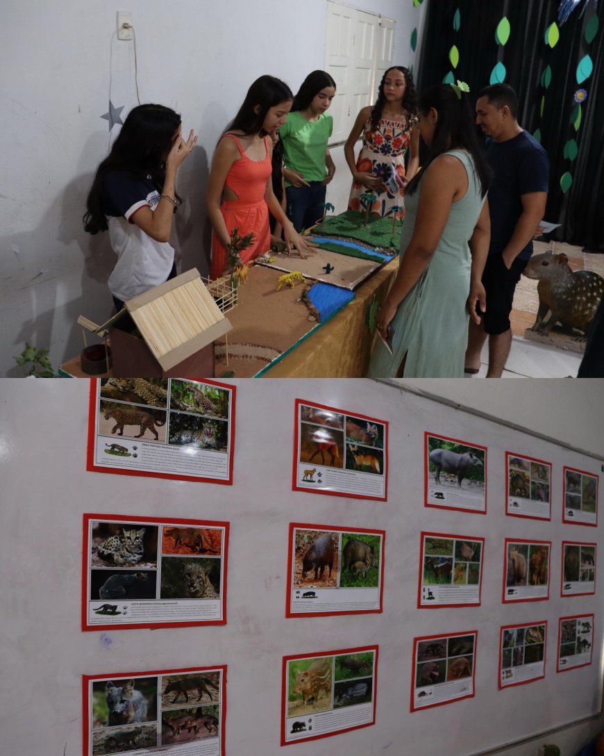 CONFERÊNCIA INFANTOJUVENIL E FEIRA DE CIÊNCIAS PROMOVEM EDUCAÇÃO AMBIENTAL NA ESCOLA PROFª ELZA BORGES