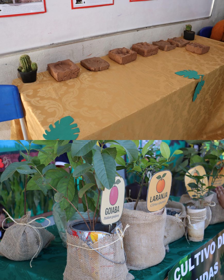 CONFERÊNCIA INFANTOJUVENIL E FEIRA DE CIÊNCIAS PROMOVEM EDUCAÇÃO AMBIENTAL NA ESCOLA PROFª ELZA BORGES