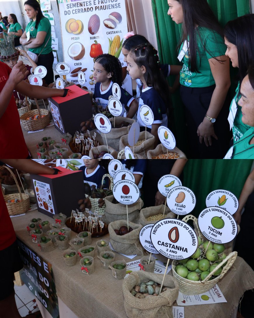CONFERÊNCIA INFANTOJUVENIL E FEIRA DE CIÊNCIAS PROMOVEM EDUCAÇÃO AMBIENTAL NA ESCOLA PROFª ELZA BORGES