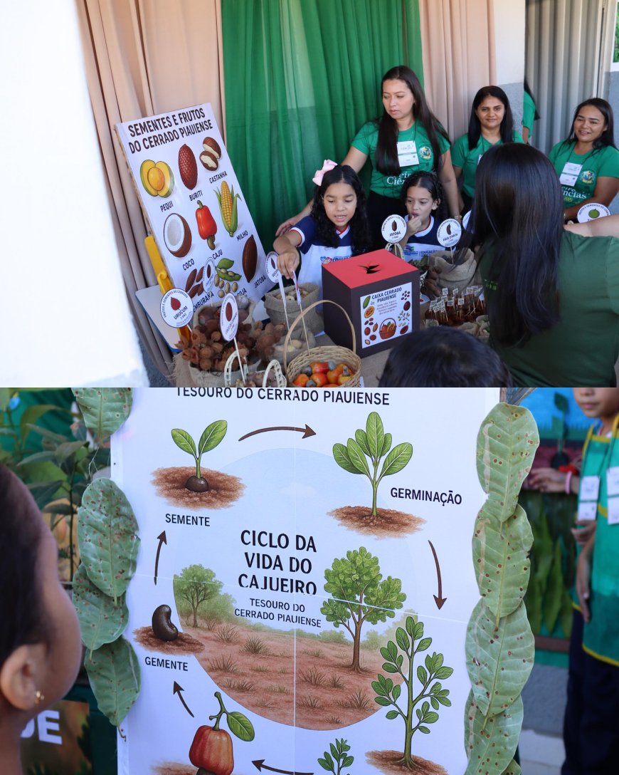 CONFERÊNCIA INFANTOJUVENIL E FEIRA DE CIÊNCIAS PROMOVEM EDUCAÇÃO AMBIENTAL NA ESCOLA PROFª ELZA BORGES