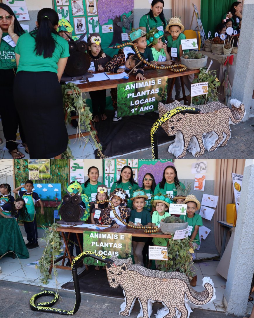 CONFERÊNCIA INFANTOJUVENIL E FEIRA DE CIÊNCIAS PROMOVEM EDUCAÇÃO AMBIENTAL NA ESCOLA PROFª ELZA BORGES