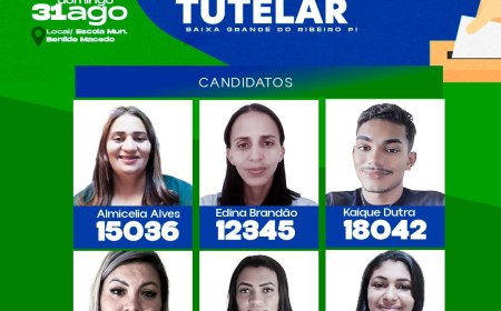 Eleições para o Conselho Tutelar – Participe!