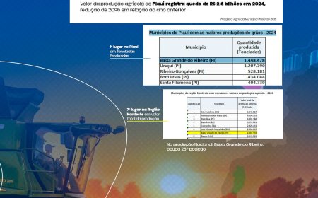 Baixa Grande do Ribeiro, Gigante da Agricultura Piauiense!