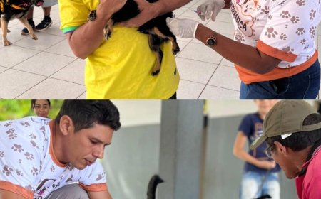 DIA D - Da Vacinação Antirrábica 2025