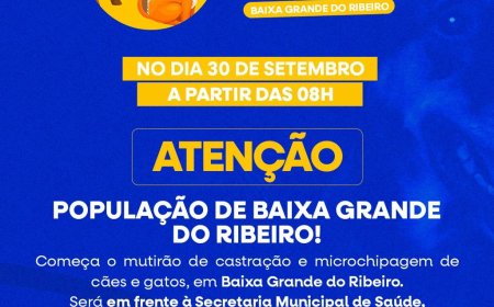 Mutirão de Castração e Microchipagem realizado com sucesso!