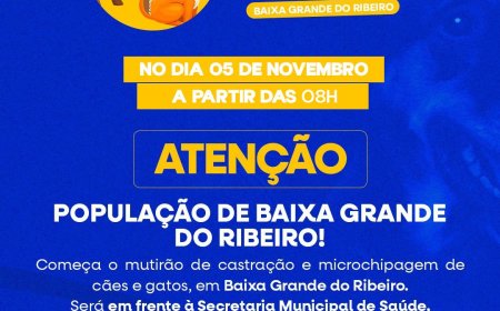Nova oportunidade para cuidar dos nossos animais!