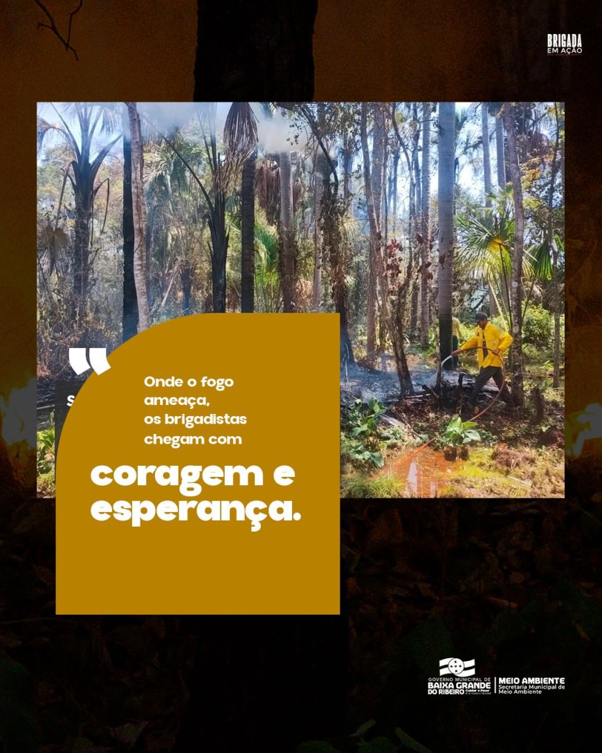 Brigadistas de Baixa Grande do Ribeiro em ação!
