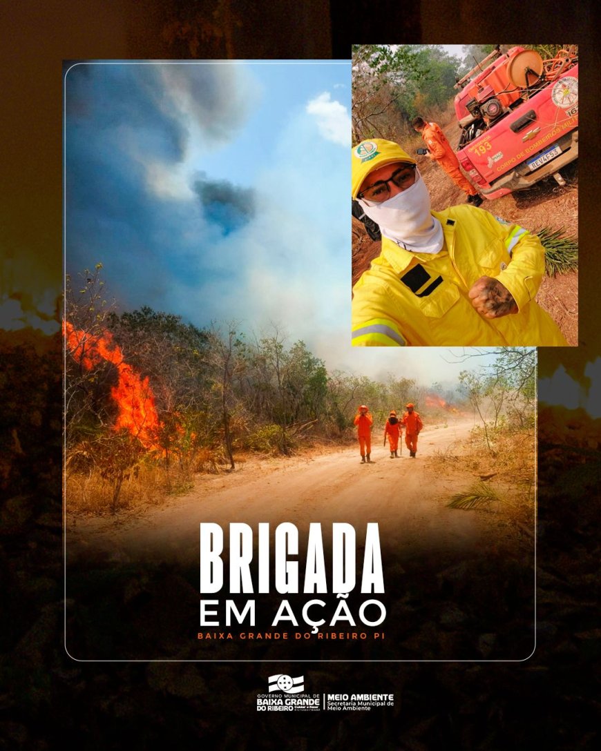 Brigadistas de Baixa Grande do Ribeiro em ação!