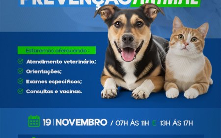 DIA D – PREVENÇÃO ANIMAL