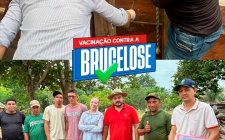 Vacinação Contra a Brucelose