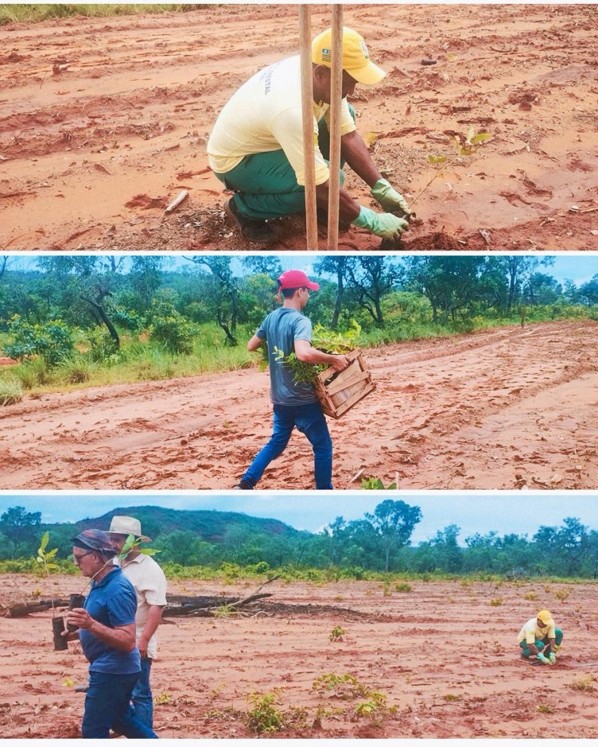 CUIDAR DA NATUREZA É CUIDAR DO FUTURO!