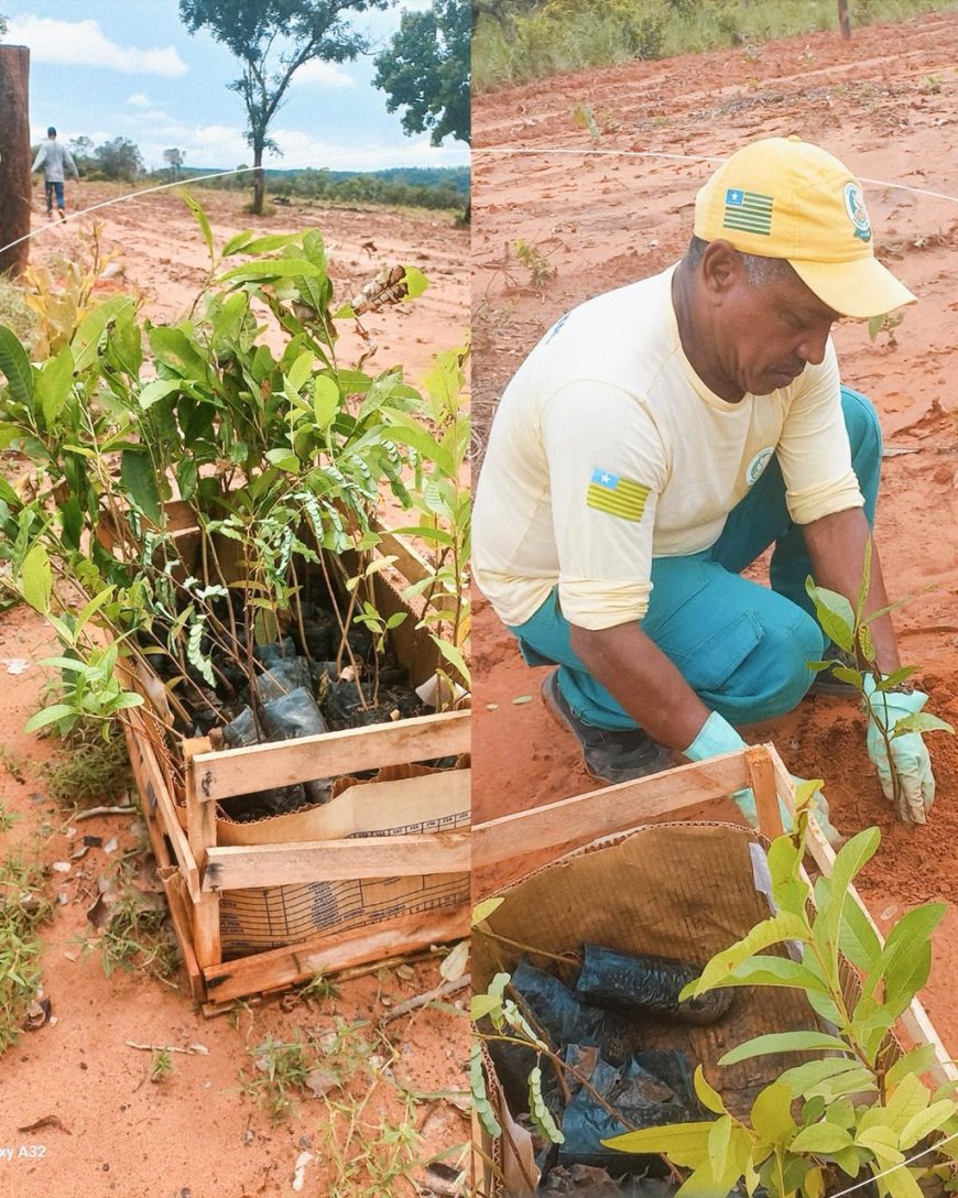 CUIDAR DA NATUREZA É CUIDAR DO FUTURO!