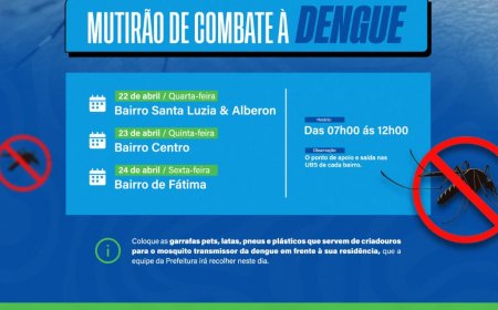 MUTIRÃO DE COMBATE AO MOSQUITO AEDES AEGYPTI