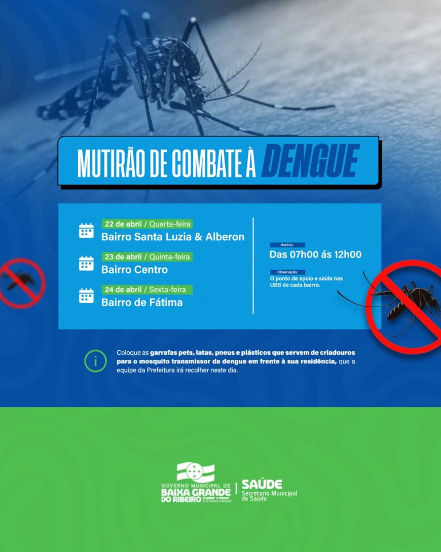 MUTIRÃO DE COMBATE AO MOSQUITO AEDES AEGYPTI