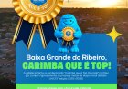 Baixa Grande do Ribeiro conquista reconhecimento de excelência do UNICEF e reafirma compromisso com a infância e adolescência.
