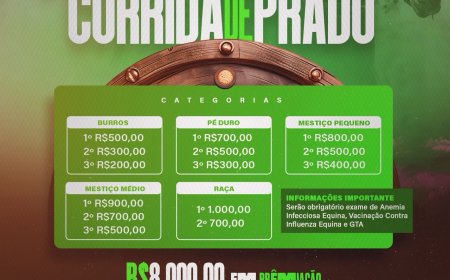 Prepare a Torcida: A Corrida de Prado Está Chegando!