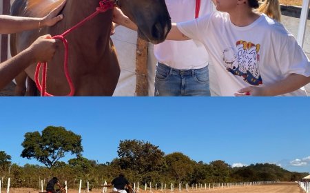 Boa Vista do Retiro celebra tradição, esporte e cultura nos festejos de Santo Antônio