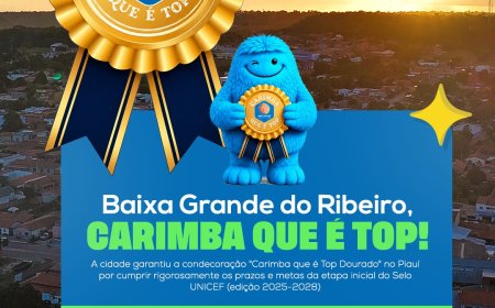 Baixa Grande do Ribeiro conquista reconhecimento de excelência do UNICEF e reafirma compromisso com a infância e adolescência.